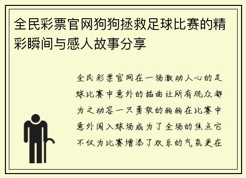 全民彩票官网狗狗拯救足球比赛的精彩瞬间与感人故事分享